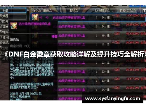 《DNF白金徽章获取攻略详解及提升技巧全解析》