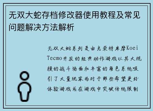 无双大蛇存档修改器使用教程及常见问题解决方法解析