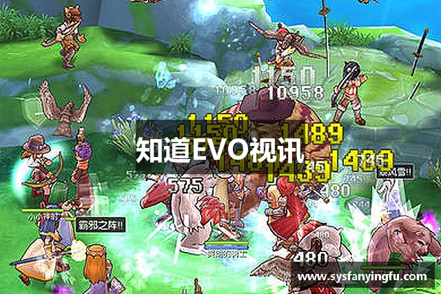 知道EVO视讯